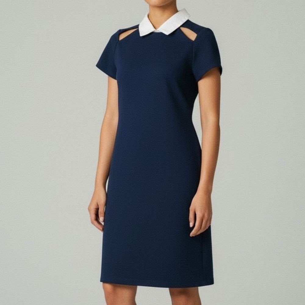 Zara Trafaluc Preppy Navy Cut-out Collar Dress